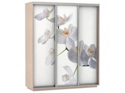 Шкаф-купе Трио Фото Орхидея Дуб молочный